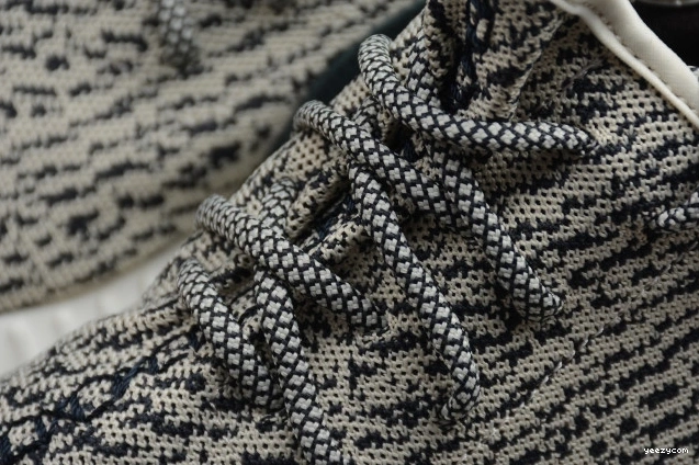 350 Adidas Dove Turtle YEEZY AQ4832 Boost 1001